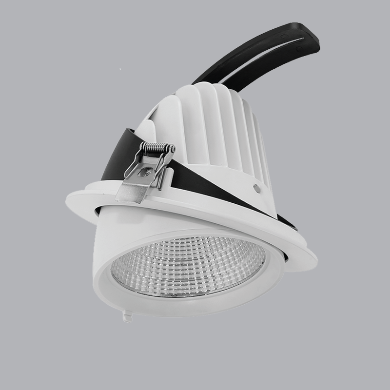 ĐÈN DOWNLIGHT ĐIỀU CHỈNH MPE 12W trắng